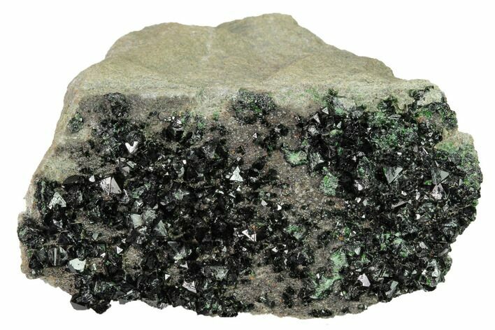 Deep-Green Libethenite Crystal Cluster #169820
